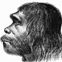 neandertalerthumb
